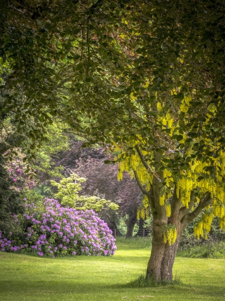 Stanley Hall Gardens